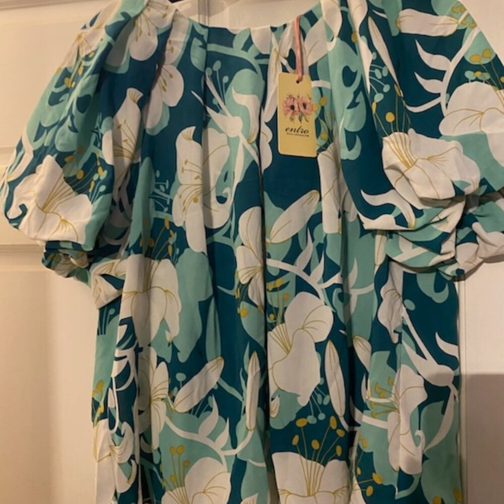 Entro puff sleeve top, size large